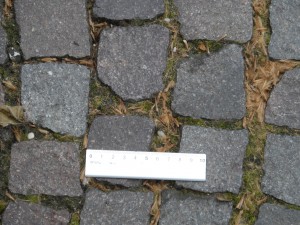 rovigo 4
